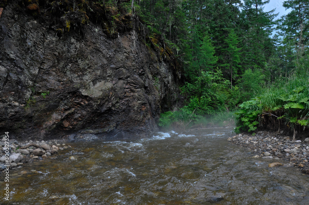 Fototapeta premium taiga stream flows from the forest and runs past the cliff