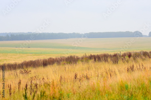 Cornwall Landschaft