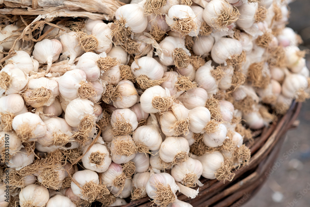 organic garlic is sold in the market organic garlic is sold in the market
