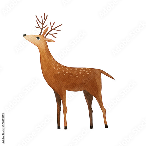 Watercolor deer isolated on white background