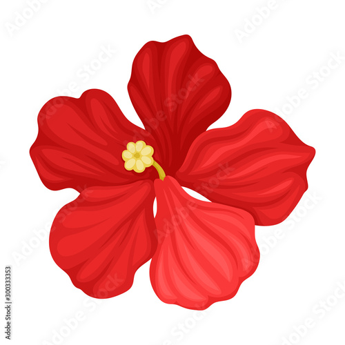 Hibiscus Detailed Flower in Full Bloom Vector Illustration