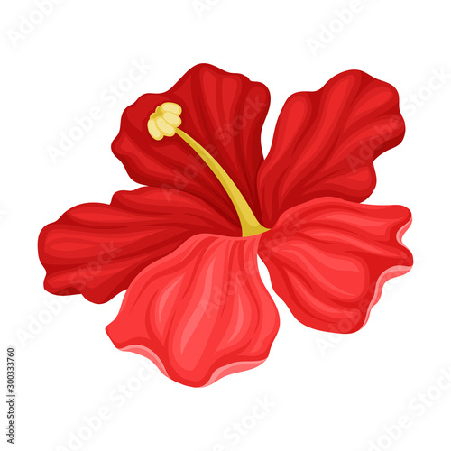 Hibiscus Detailed Flower in Full Bloom Vector Illustration