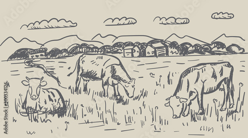 vector illustration of village and landscape farm