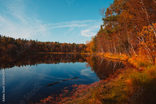 Autumn landscape with forest lake at sunny calm fall morning