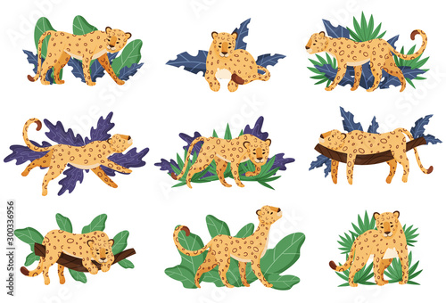Spotted Leopard and Tropical Greenery Vector Illustrations Set