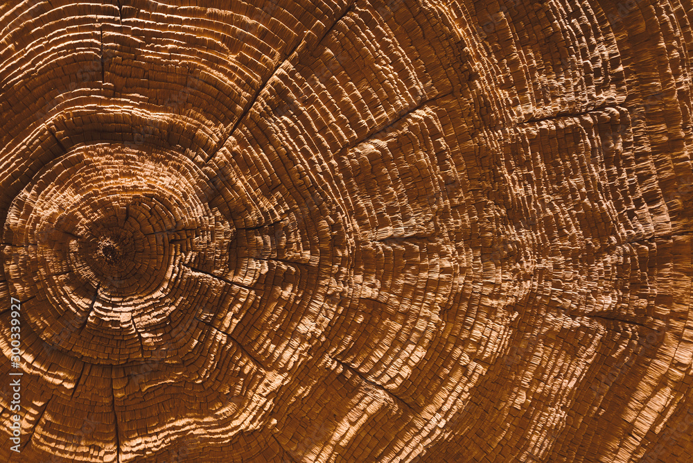 Fototapeta premium designed wooden wall