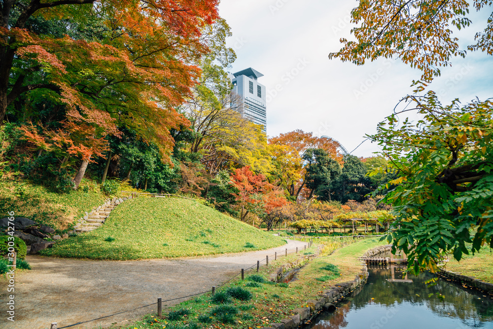 Koishikawa Korakuen Garden at autumn in Tokyo, Japan