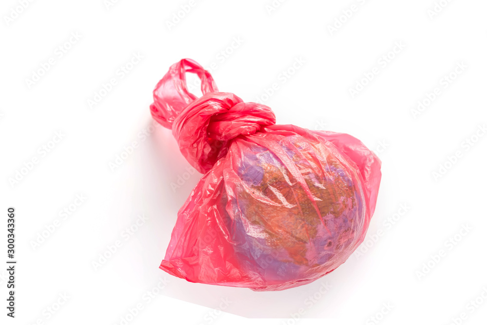 A globe in plastic bag isolated white background. Earth Day. Ecology problem. Environmental pollution. A globe in plastic bag isolated white background. Earth Day. Ecology problem. Environmental pollution.