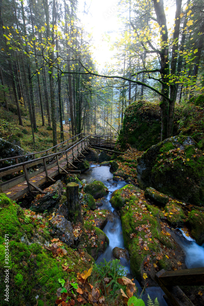 Fototapeta premium Drewniany most nad kaskadą przewraca się nad omszałymi skałami w Myrafalle, niedaleko Muggendorf w Dolnej Austrii