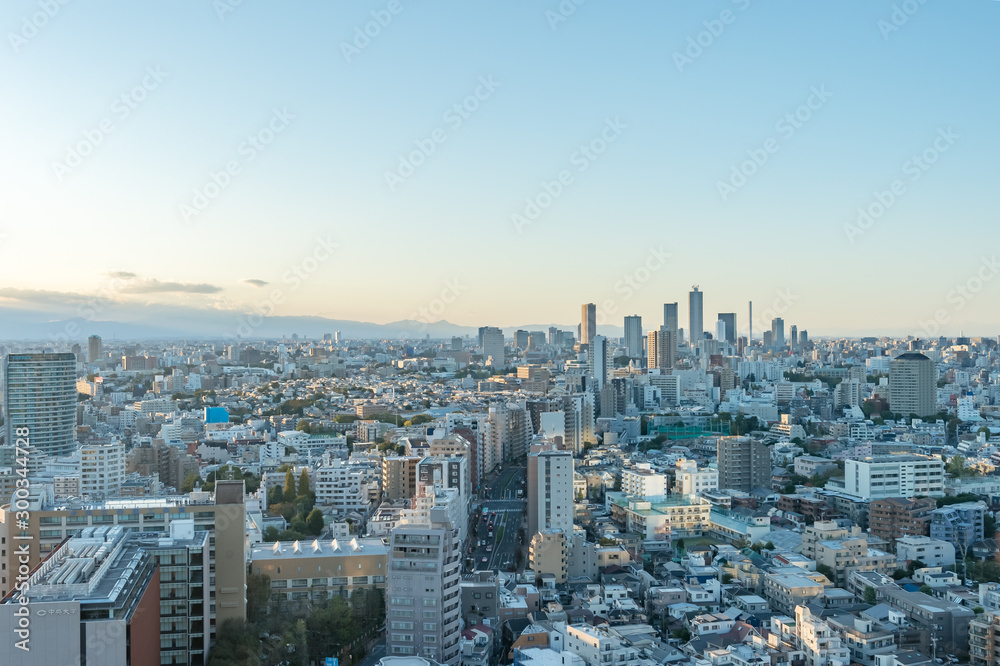 Fototapeta premium 東京都文京区後楽園から見た東京の景色