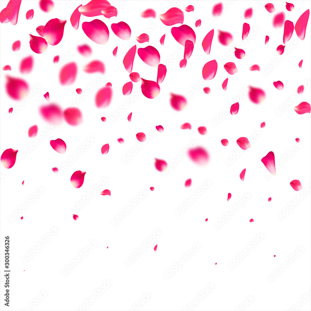 Pink falling petals flying. Sakura flower pastel texture background.