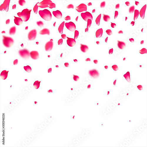 Pink falling petals flying. Sakura flower pastel texture background.