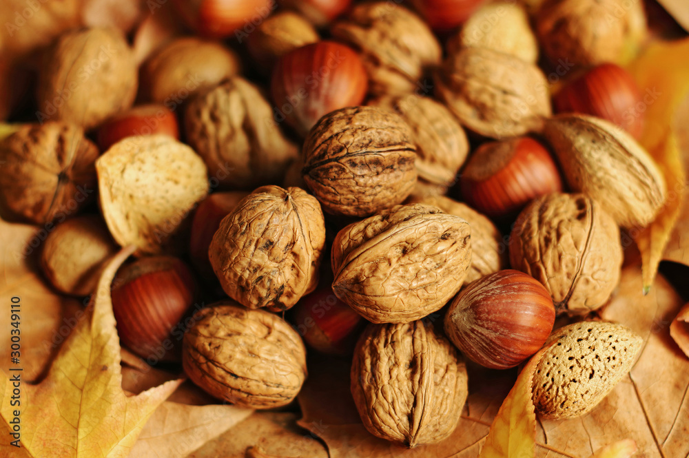 Variety of nuts on autumn leaves Variety of nuts on autumn leaves
