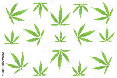 The pattern of a cannabis leaves isolated on a white background.