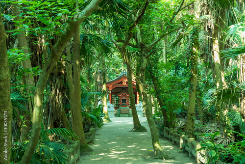 Принти на полотні Japanese Traditional Shrine, Miyazaki, Japan