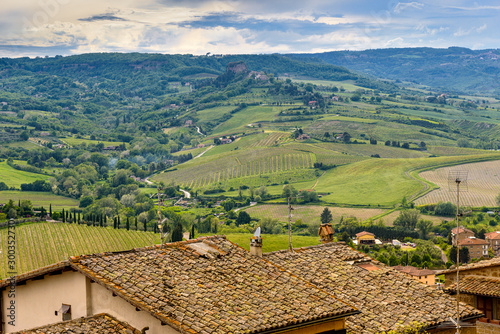 Amazing landscape with roofs of Orvieto and hills.