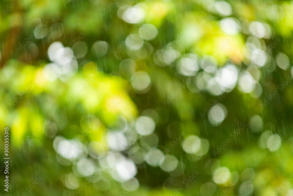 Green bokeh on nature defocus abstract blur background Green bokeh on nature defocus abstract blur background