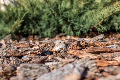 Lawn of pieces of tree bark on the background of a green Bush