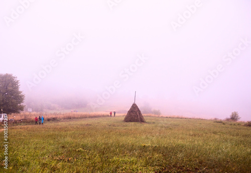 rural landscape on a misty autumn day © mitarart