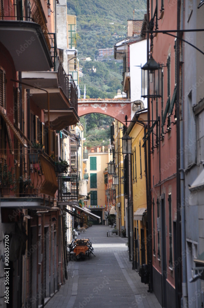 typical multi storey buildings and a narrow street, Moneglia, Genoa Province, Liguria, Italy