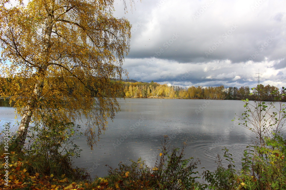 Fototapeta premium herbst