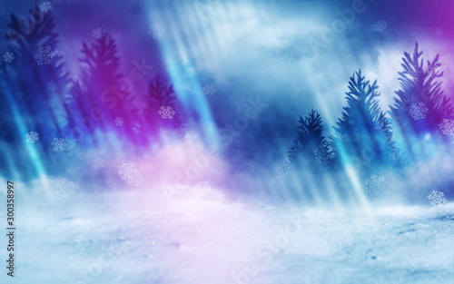 Winter forest background. Snow  fog  moonlight. Winter landscape