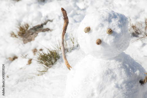 muñeco de nieve photo