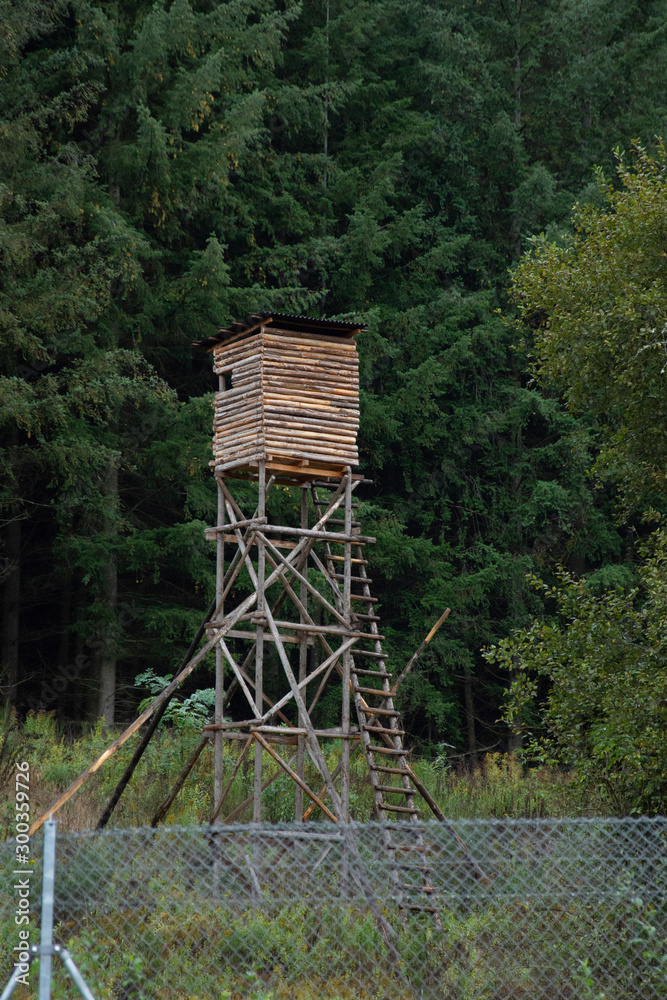 Hunting tower in wild forest. Wooden Hunter Hide High watch post tower. in Germany,2019