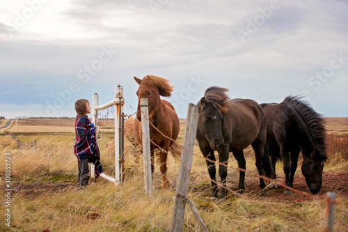 Beautiful child and horses in the nature, early in the morning on a windy autumn day © Tomsickova