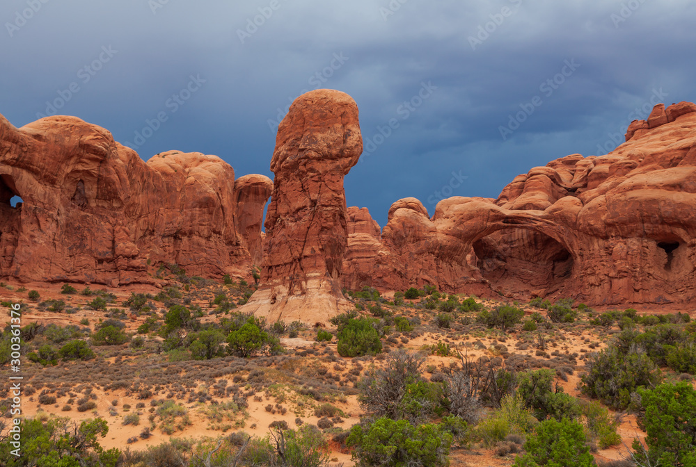 Fototapeta premium Scenic Arches National Park Utah Landscape
