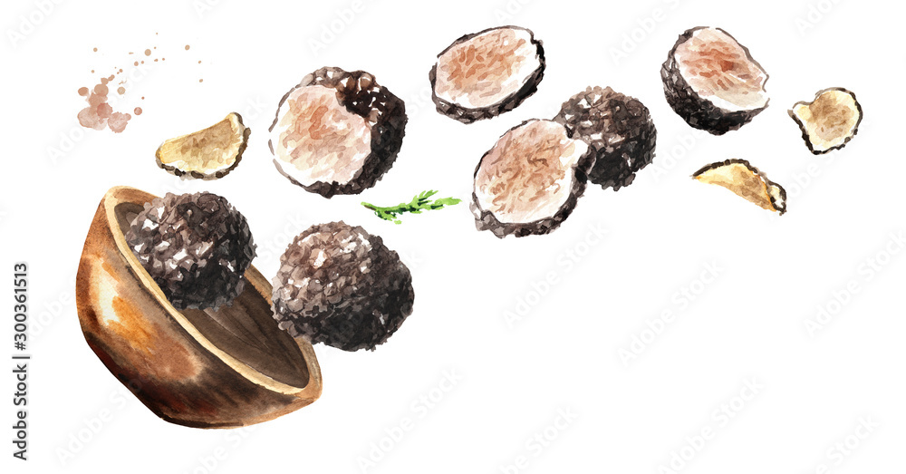 Bowl with black truffles mushrooms. Hand drawn horizontal watercolor illustration, isolated on white background Bowl with black truffles mushrooms. Hand drawn horizontal watercolor illustration, isolated on white background