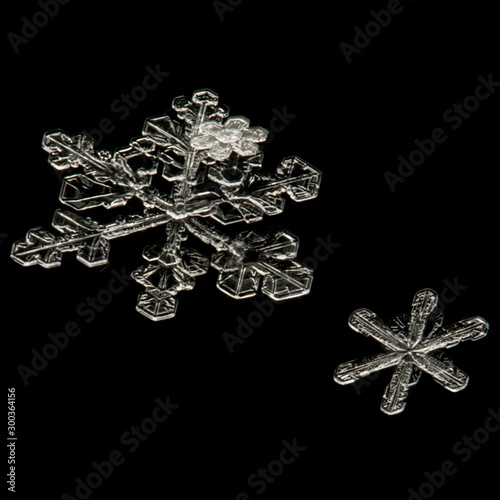 real snowflakes on a black background