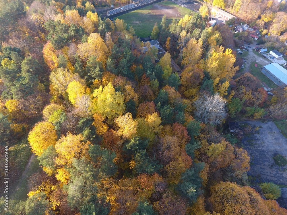 Lithuanian autumn. Drone footage.