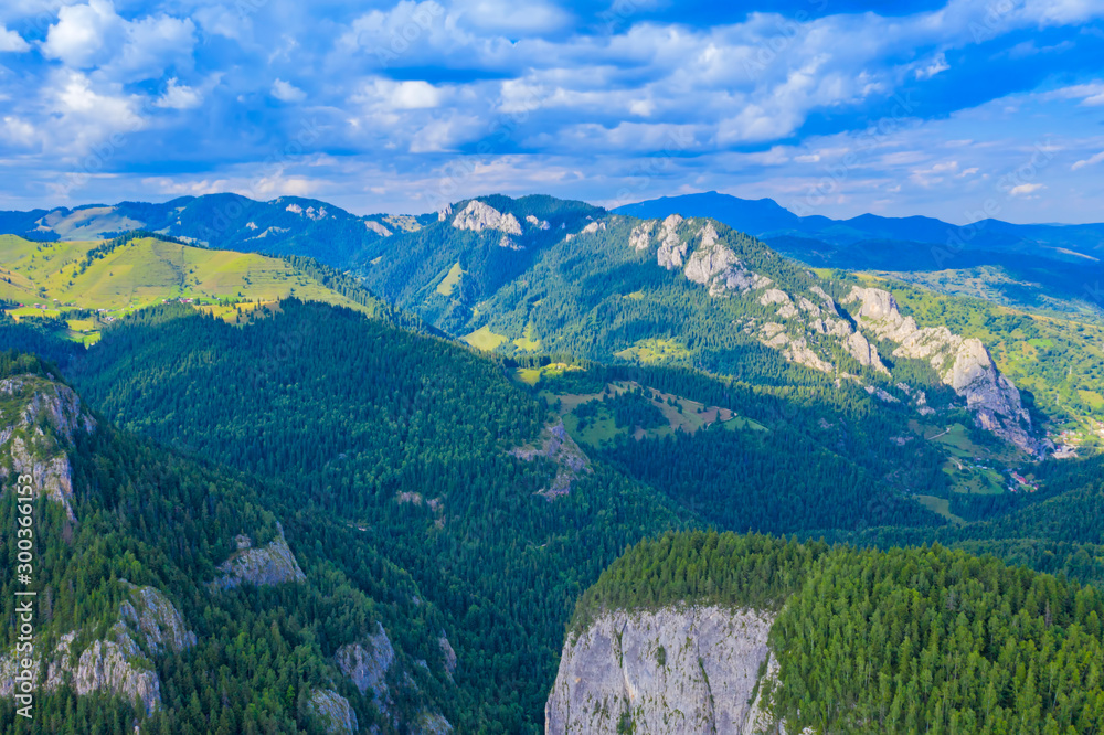Rocky mountain and green forest Rocky mountain and green forest