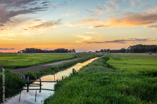 Landscape with Stream at Sunset photo