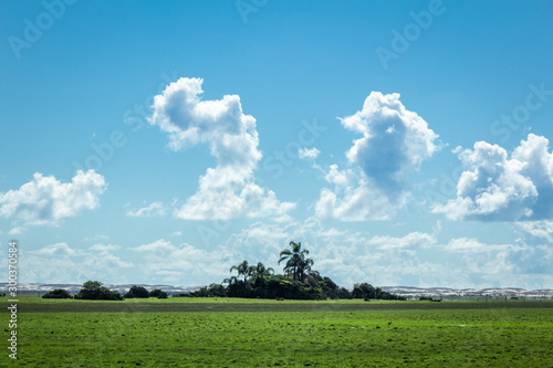 Rural landscape in sunny day photo