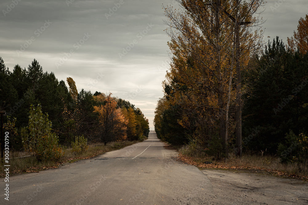 Empty streets in the Chernobyl exclusion zone near the ghost town of Pripyat and the Chernobyl nuclear reactor during autumn (Kiew, Ukraine, Europe) Empty streets in the Chernobyl exclusion zone near the ghost town of Pripyat and the Chernobyl nuclear reactor during autumn (Kiew, Ukraine, Europe)