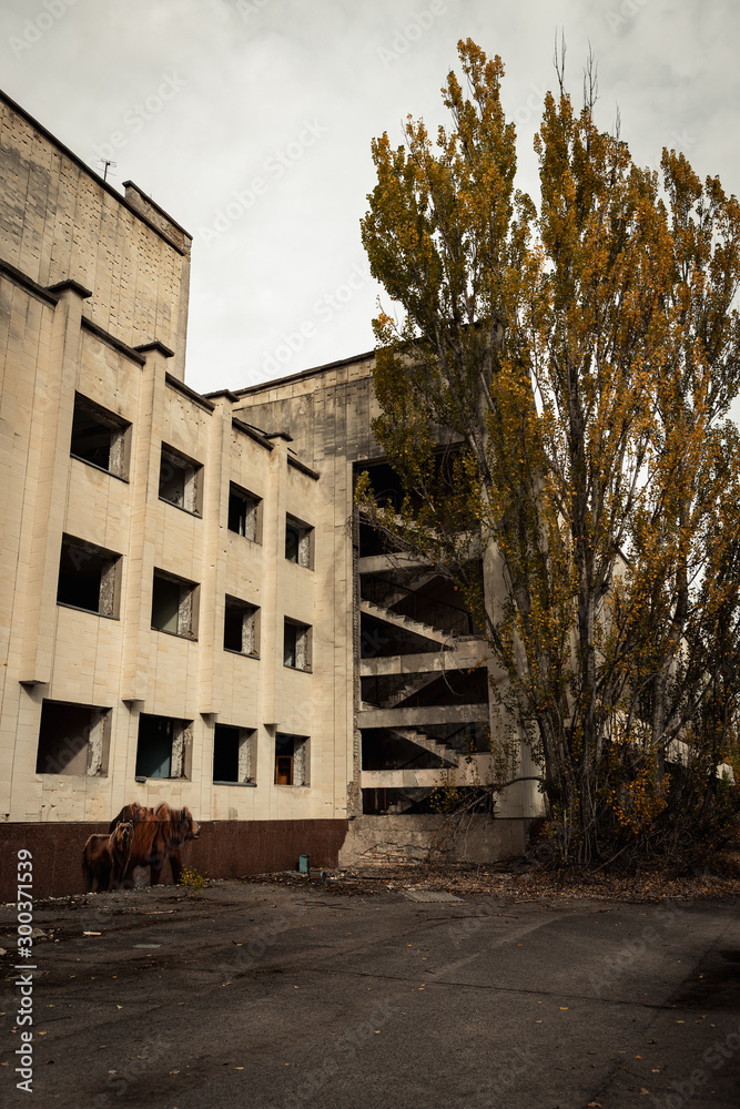 Abandoned buildings in the empty ghost town of Pripyat near the Chernobyl nuclear reactor during autumn (Kiew, Ukraine, Europe)