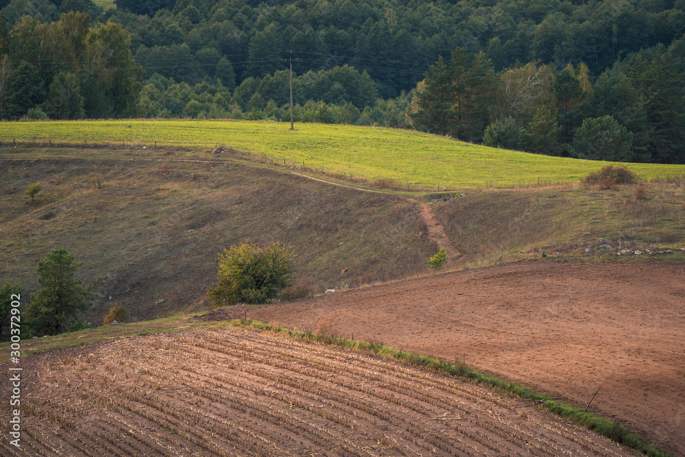 Autumn view from Cisowa mountain in Suwalski landscape park, Podlasie, Poland