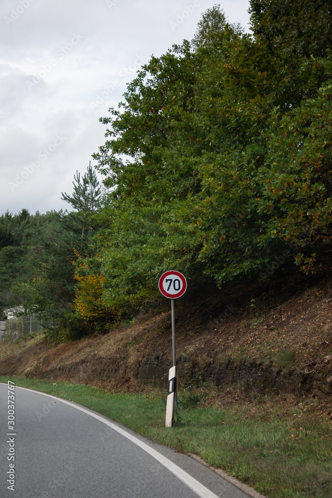 Naklejka premium signs of circulation in Germany,Traffic signals,2019
