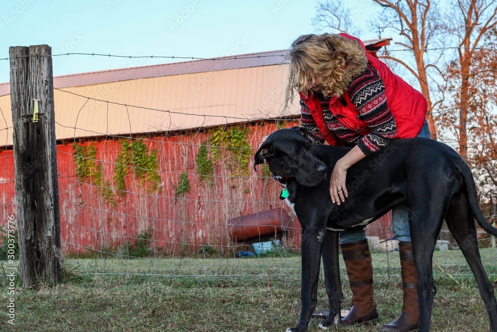 Portrait of a middle aged active country woman and her black Great Dane dog sitting on a grassy field with a red barn in background 