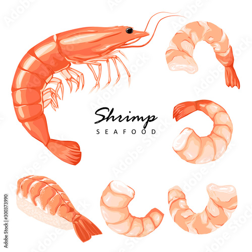Collection boiled shrimp, shrimps without shell, shrimp meat. Shrimp prawn icons set. Boiled Shrimp drawing on a white background. photo