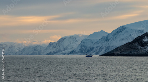 Arctic Fjord Landscape © chbaum