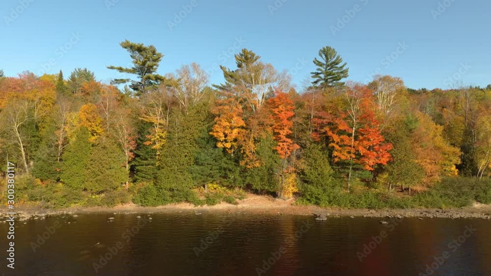 Beautiful fall forest edge next to river painted in green and orange shades Beautiful fall forest edge next to river painted in green and orange shades