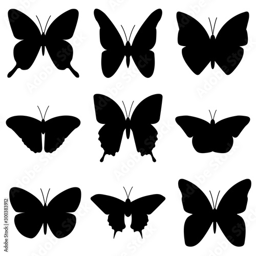 Butterfly icon, logo isolated on white background