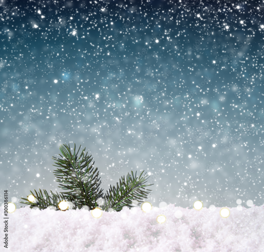 Fir tree branch isolated on snowfall background.
