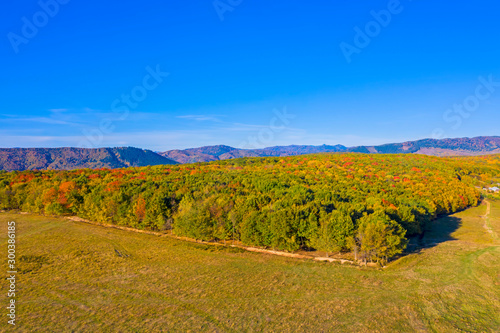 Pasture and forest in a autumn landscape