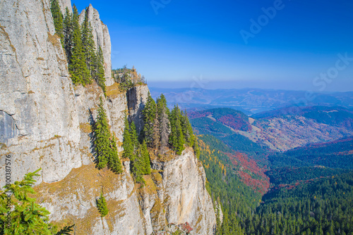 Rock wall and autumn forest