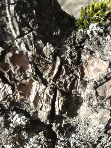 texture 