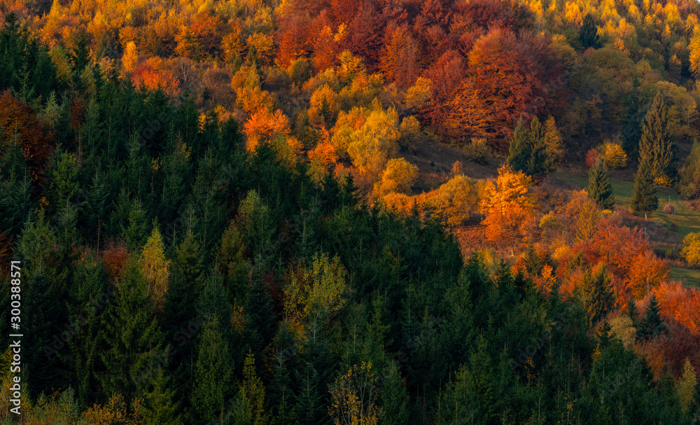 Autumn foliage trees in the mountains Meadow with haystack